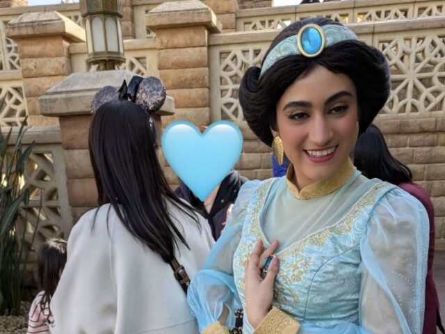 ディズニーシー行ってきた🏰