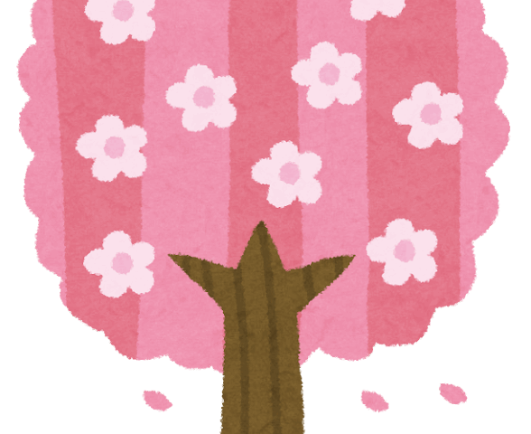 桜の季節ですね～
