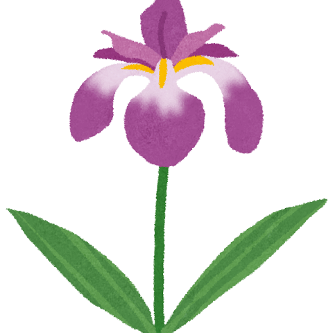 花菖蒲まつり